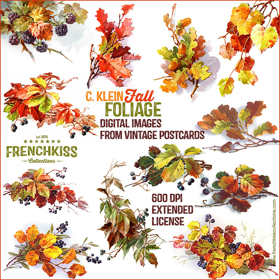 Fall Inspired Digital Design Elements