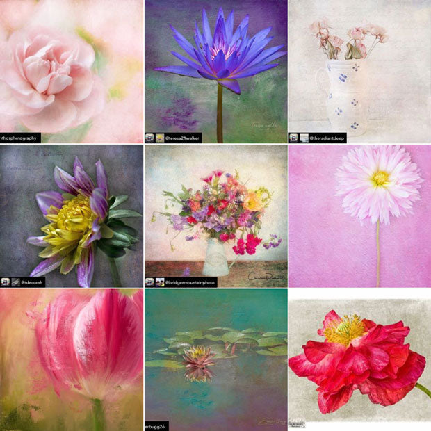 Be Featured On Instagram