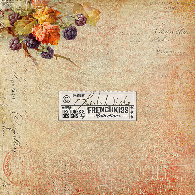 Goodbye Personal Use License Items