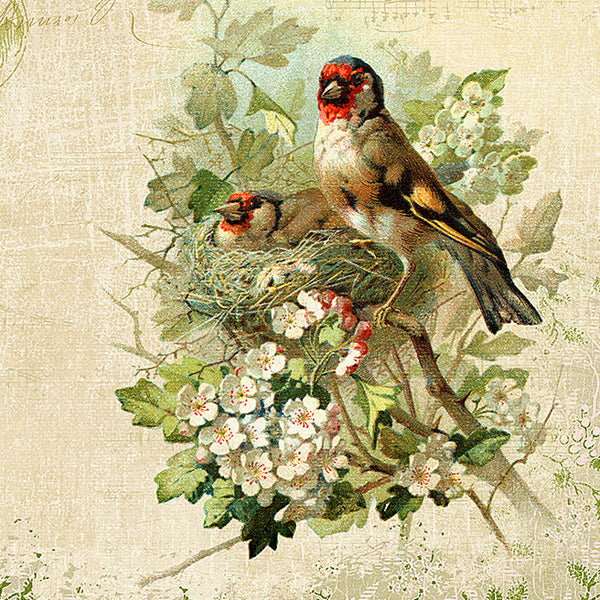 Blending A Vintage Bird Illustration Into A Design Leslie Nicole blending-a-vintage-bird-illustration-into-a-design-leslie-nicole