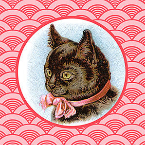 Stickers For Cat Rescue