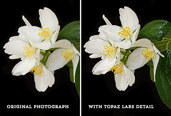 Topaz Labs Detail Filter
