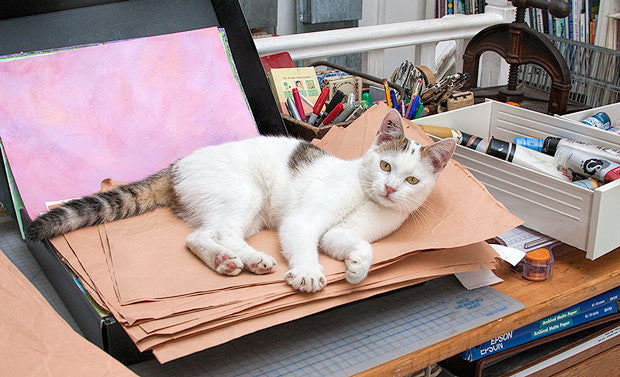 Must Have Studio Materials