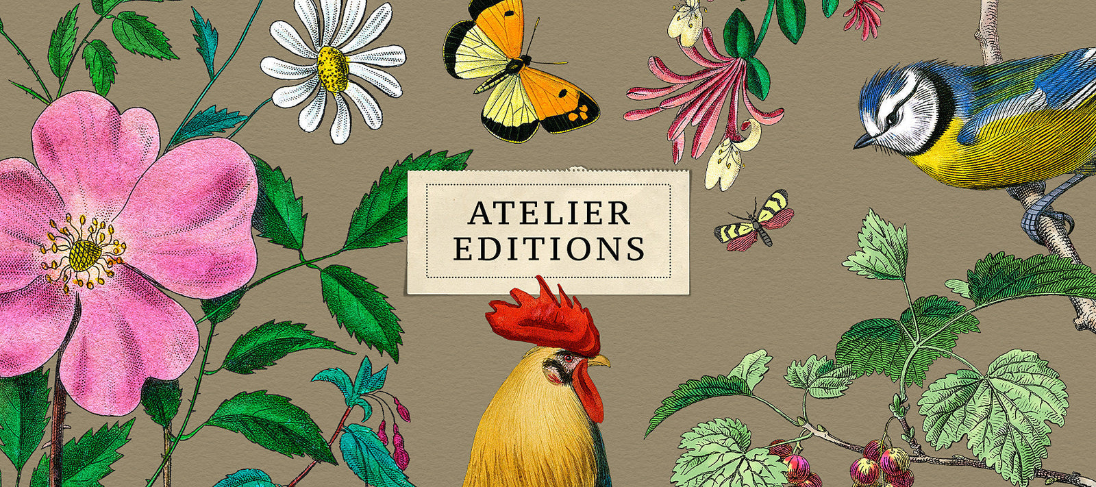 Atelier Editions: Exceptional Vintage Artwork for Creative Professionals