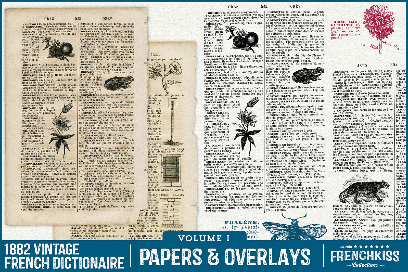 1882 vintage French dictionary pages with botanical illustrations pages, overlays and illustrations.