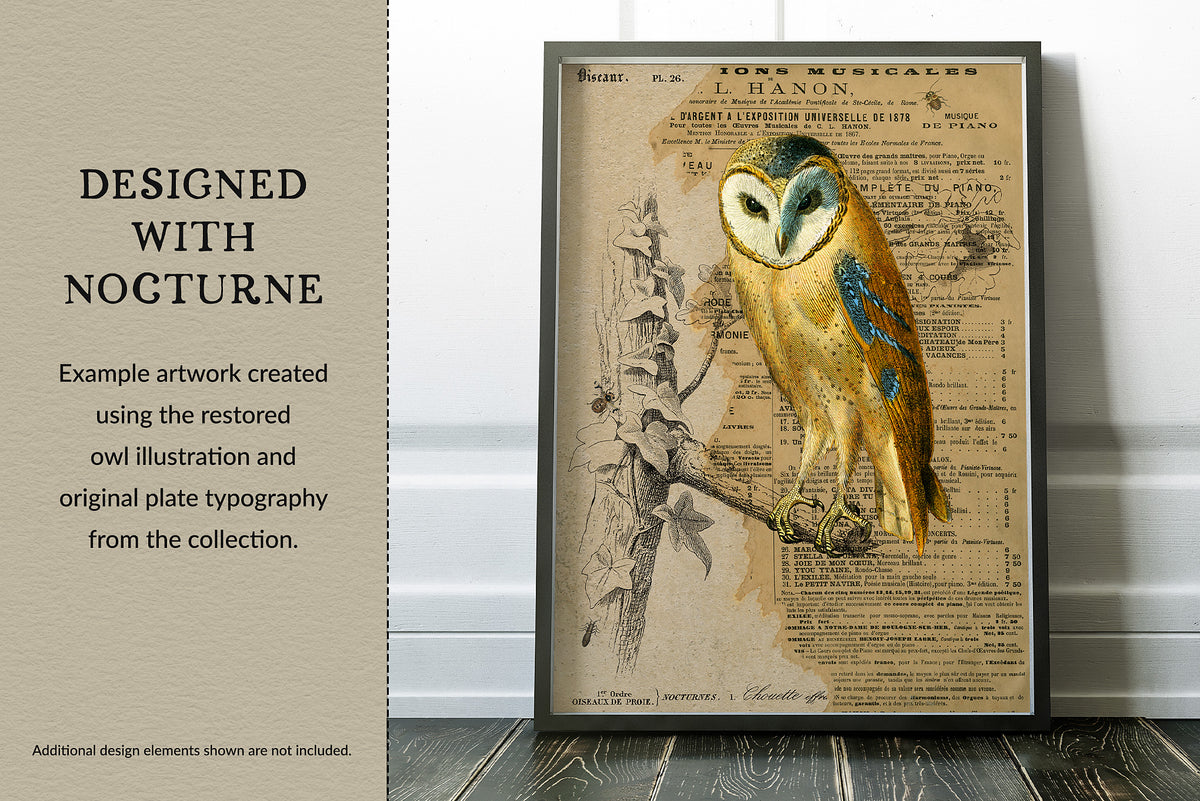Framed collage artwork created with the Nocturne digital barn owl illustration and original French plate typography from the 19th-century engraving.