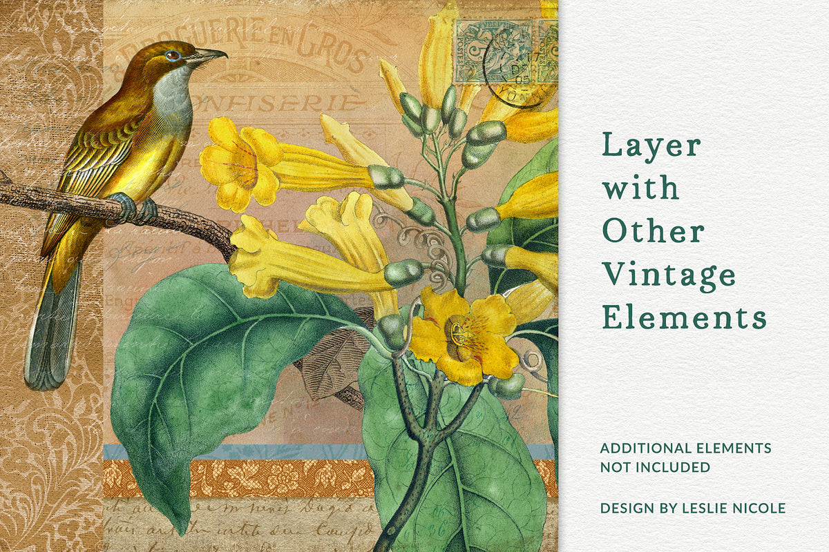 Digital artwork example using vintage elements and the vintage botanical floral graphic.