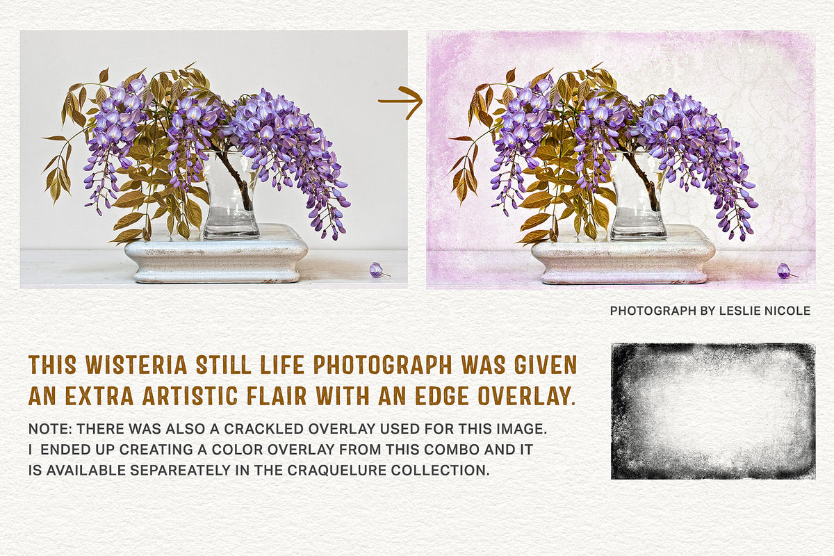 Wisteria still life photograph with with an artistic  edge overlay.