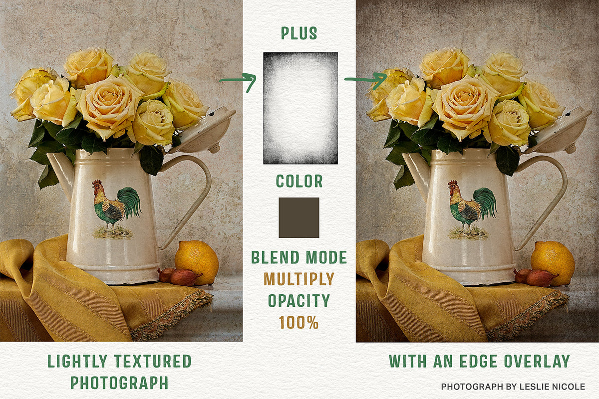 Before and after comparison of a textured rose still life using an Edge Overlay.