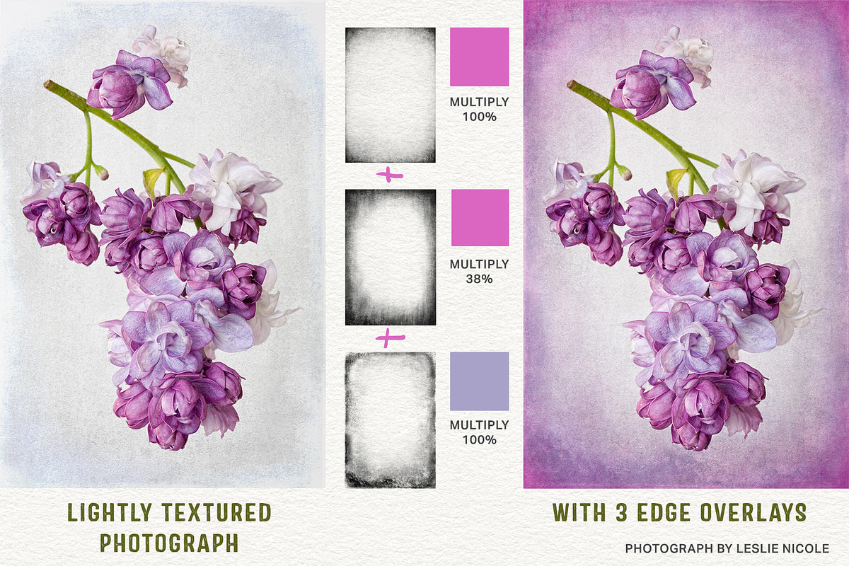 Before and after comparison of a textured Lilac photograph using 3 Edge Overlays.