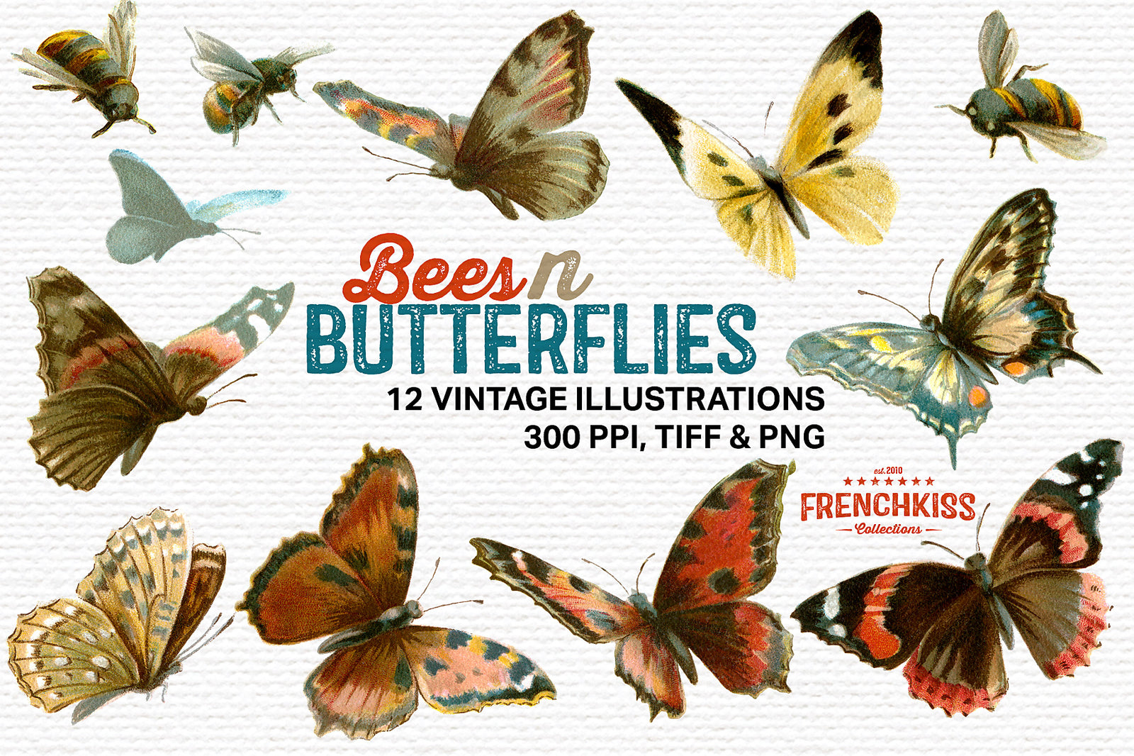 Vintage illustrations of bees and butterflies.