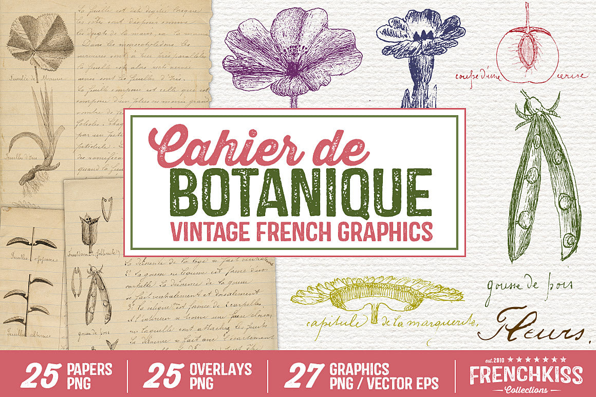 Cahier de Botanique Vintage French Graphics. Botanical notes and illustrations from a vintage French school boy's notebook. Digital Papers, Overlays, and Illustrations. 