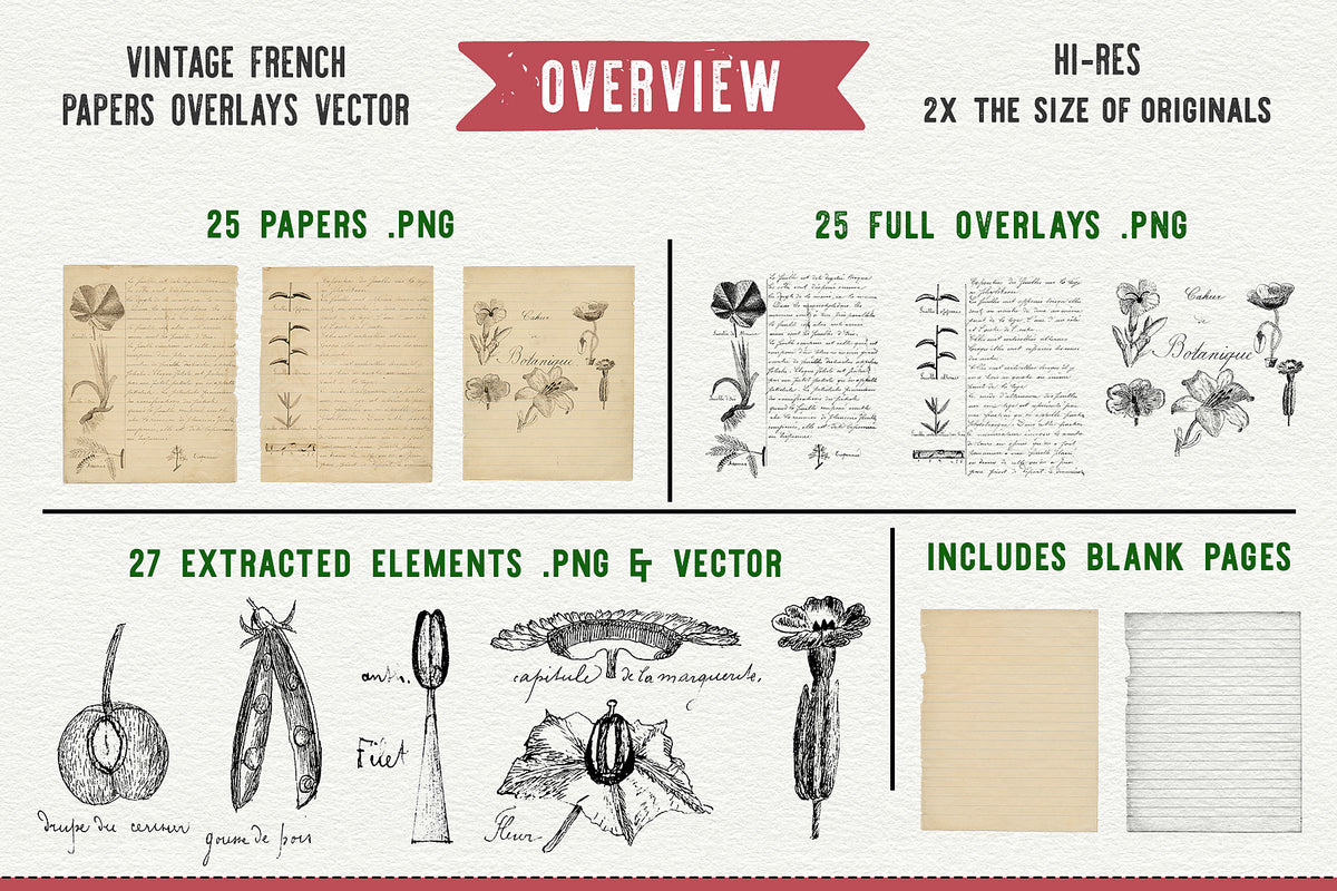 An overview of the digital graphics included in the Cahier de Botanique collection of vintage French botanical pages and illustrations.