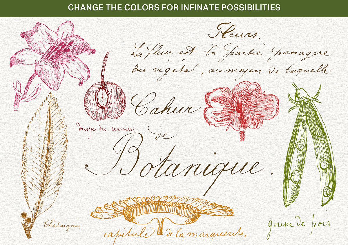Change the colors in these digital illustrations of vintage French botanical drawings.