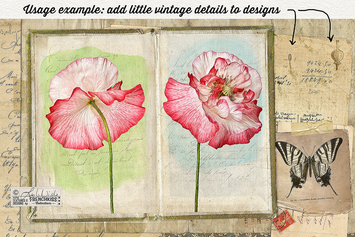 A digital collage showing the usage of botanical drawings from a vintage French notebook.