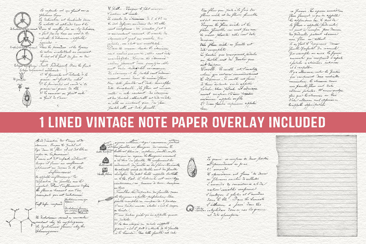 Overlays from a vintage French botanical notebook. Transparent .PNG files.