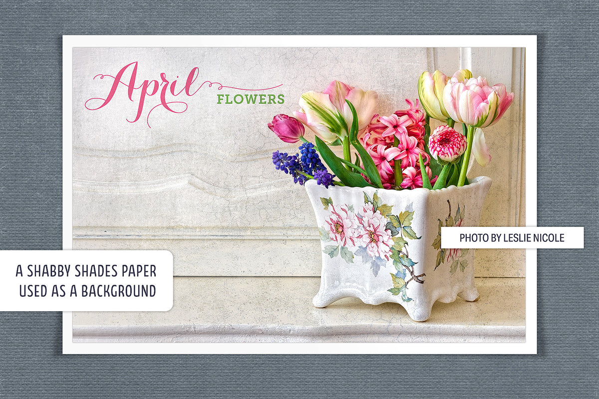 Floral photograph displayed on a textured background created with Color Foundation Studio digital papers.
