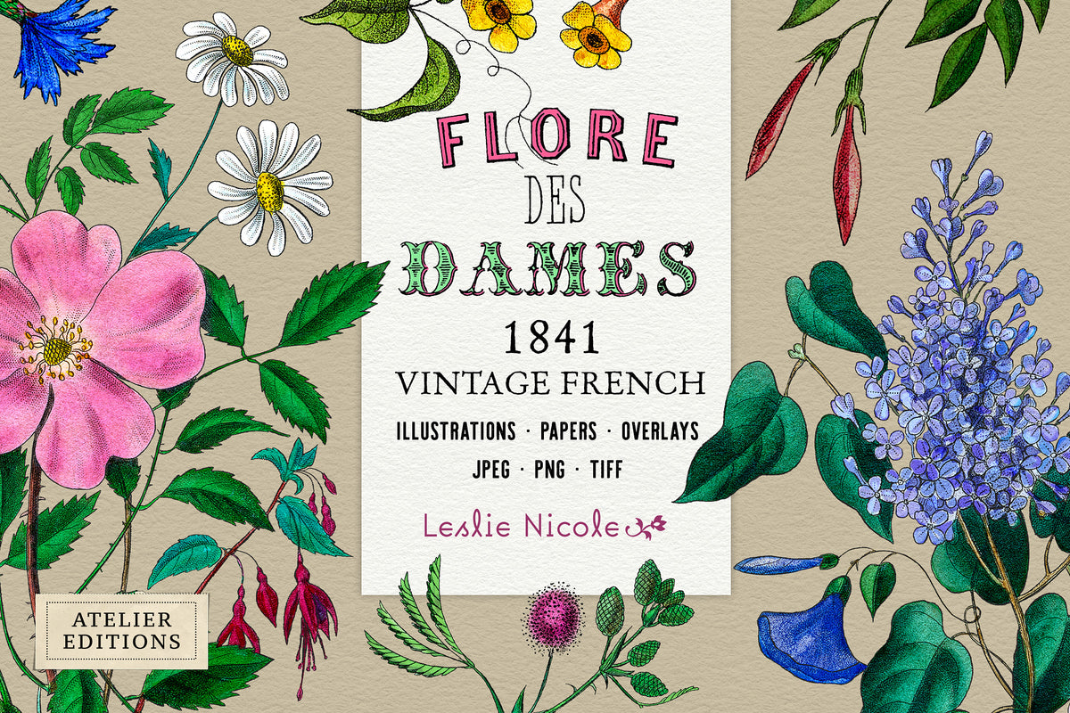 Flore des Dames vintage French botanical flower bouquets and ephemera digital graphics. 