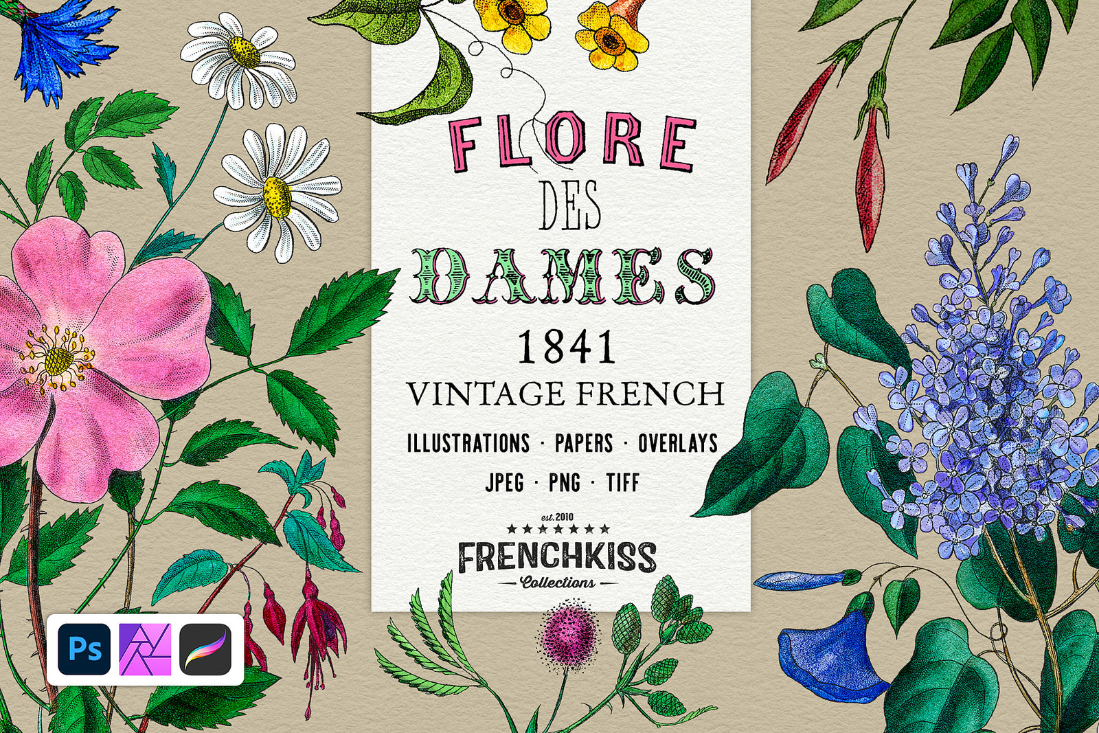 Flore des Dames vintage French botanical flower bouquets and ephemera digital graphics. 