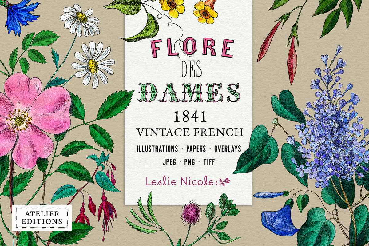 Flore des Dames vintage French botanical flower bouquets and ephemera digital graphics. 