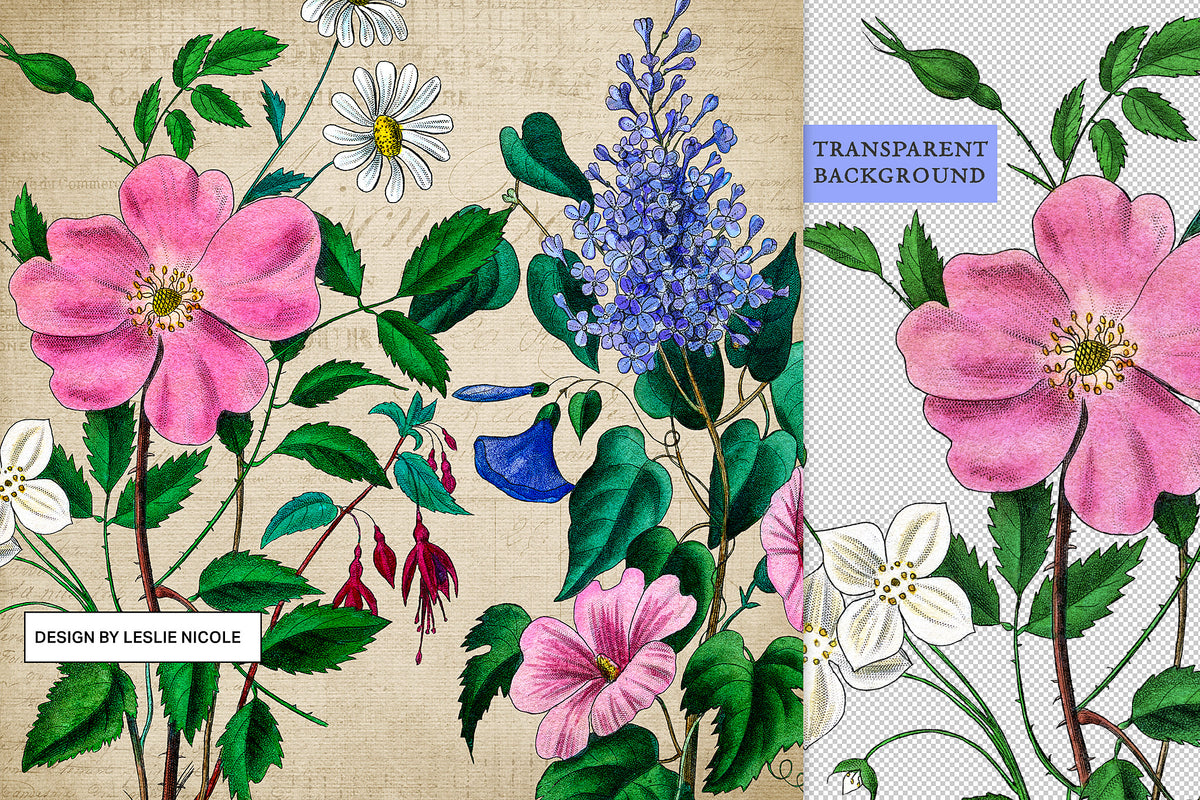 The vintage French bouquet illustrations have transparent backgrounds making it easy to create designs.