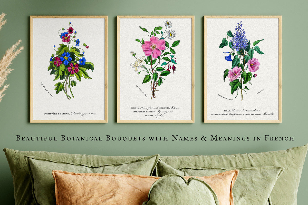 The vintage French bouquet botanical illustrations with language of flowers titles make perfect wall prints.