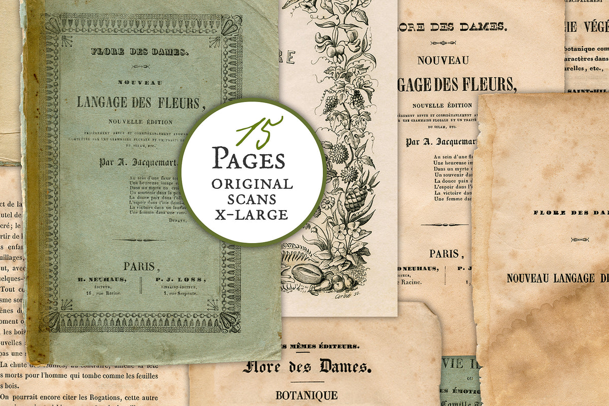 15 vintage french ephemera page graphics from a book on the language of flowers.