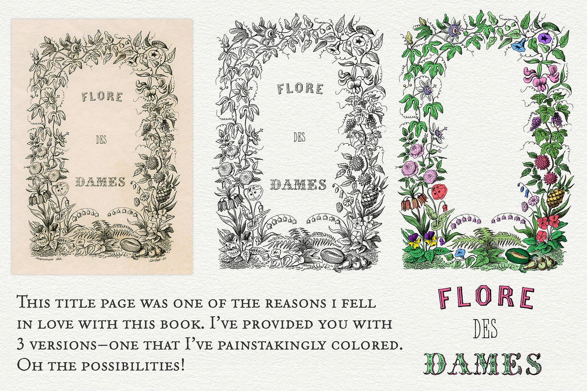 Three versions of a garden frame title page graphics from &#39;Flore des Dames&#39; a vintage French book.