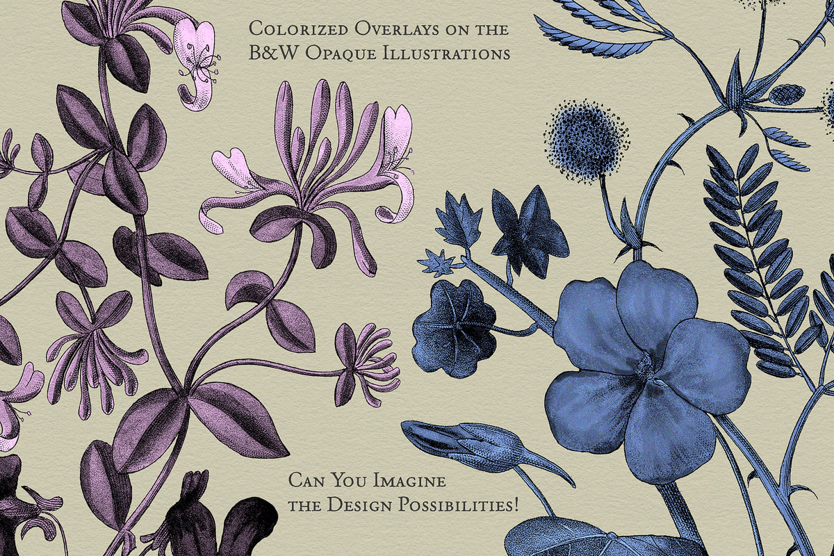 Black and white vintage flower bouquet graphics using color overlays.