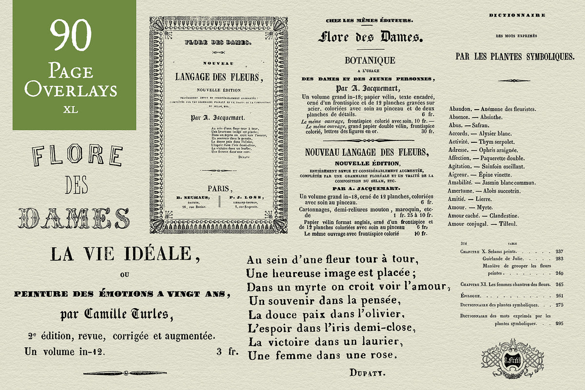 90 vintage page overlays from an 1841 French book on the language of flowers.