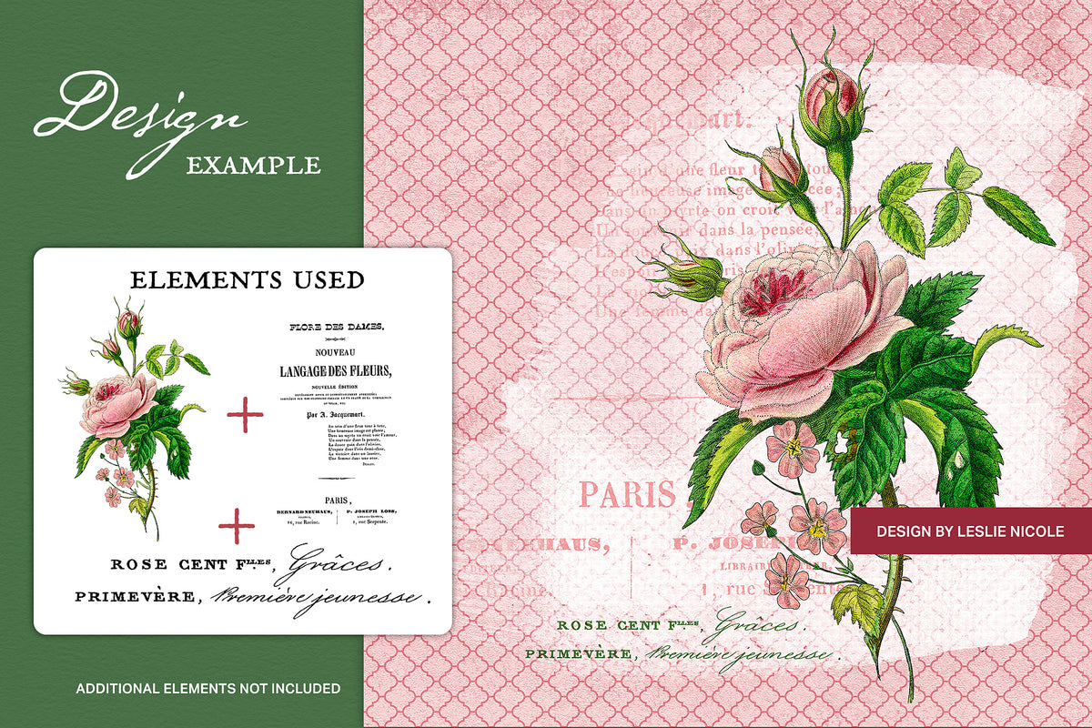 Modern vintage design using a vintage French rose botanical illustration and ephemera.