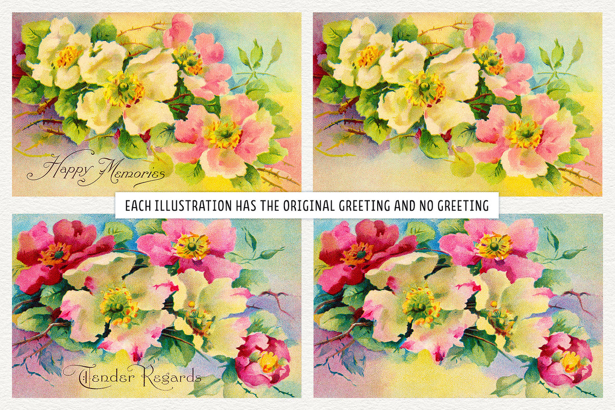 Vintage rose illustrations shown with original greeting and no greeting.