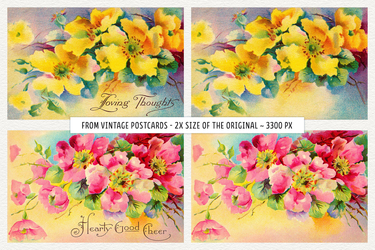 Vintage rose illustrations shown with original greeting and no greeting.