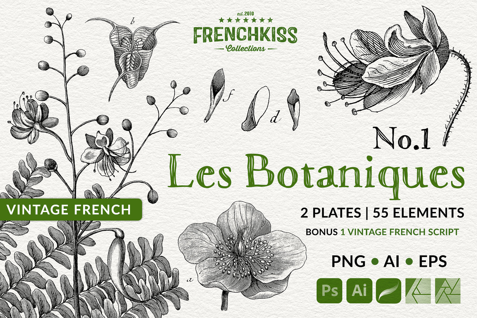 Digital overlays and elements  from vintage French flower botanicals. Vector and PNG.