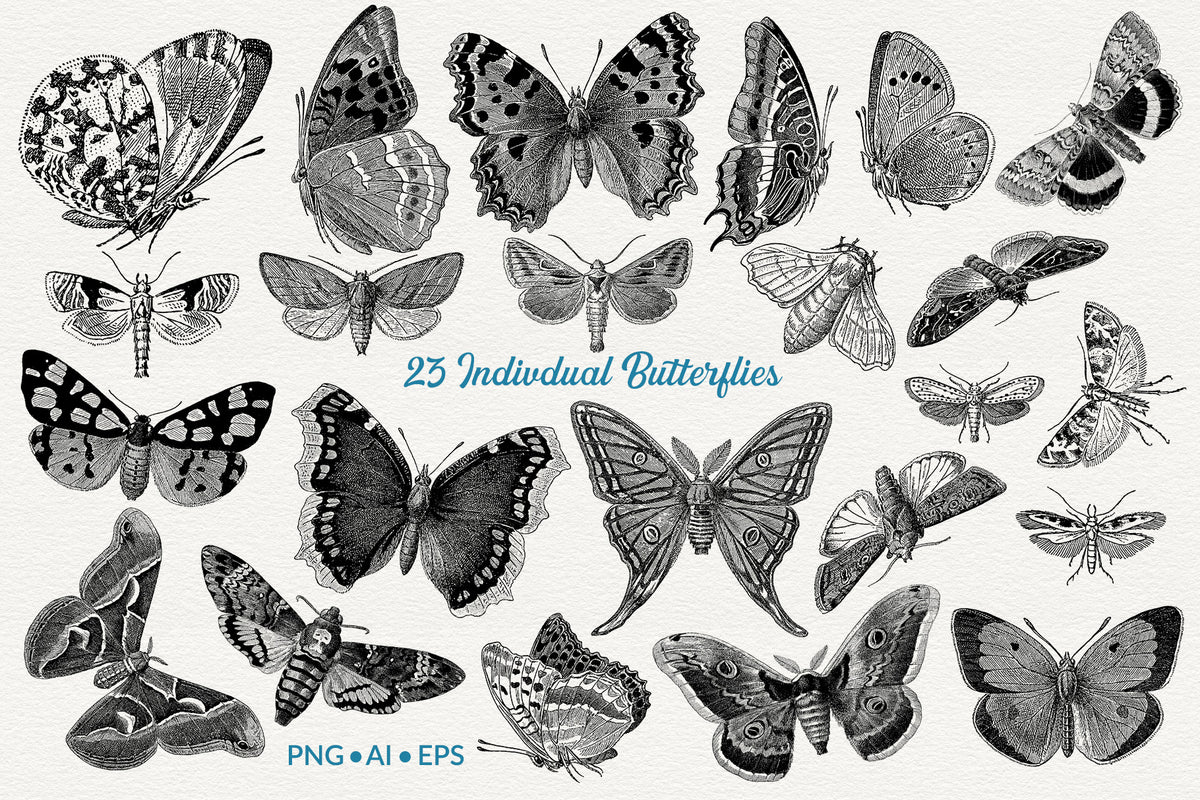 Les Papillons vintage French butterfly digital graphics.