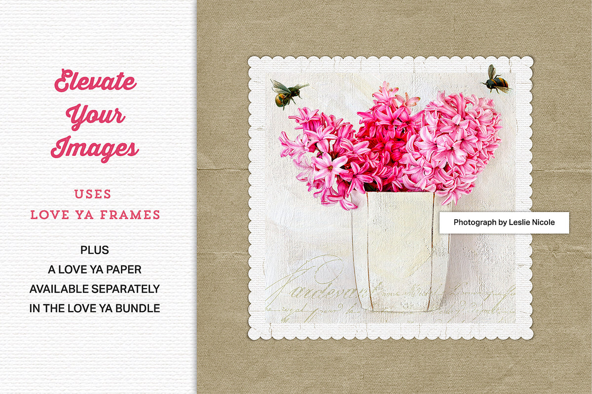 Lovely hyacinth photograph shown featuring a Love Ya digital frame and paper.