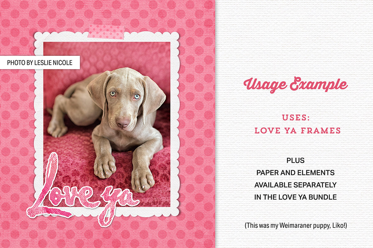 Cute Weimaraner puppy photo shown with a Love Ya digital frame, paper and elements.
