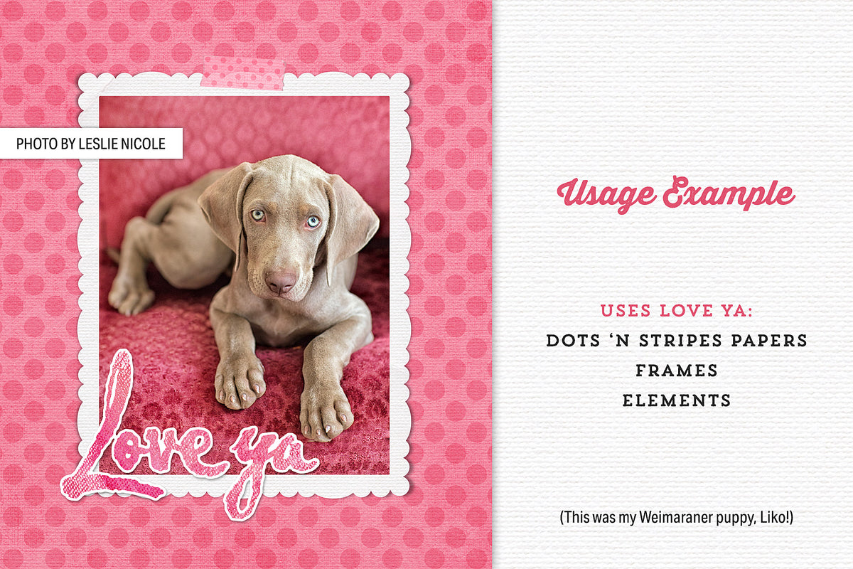 Example using a digital paper, frame, tape and photo mat from the Love Ya Bundle for a Weimaraner puppy portrait.