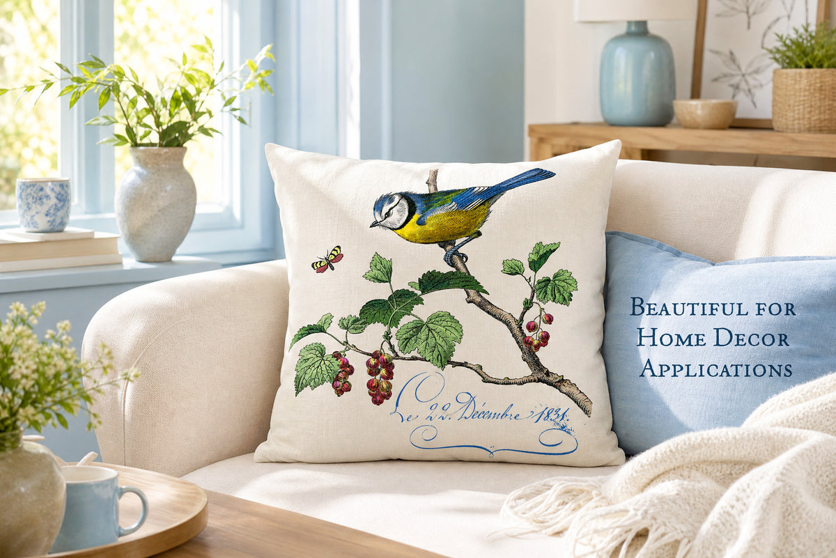 Vintage French bird illustration applied to decorative pillow design in elegant home décor setting.