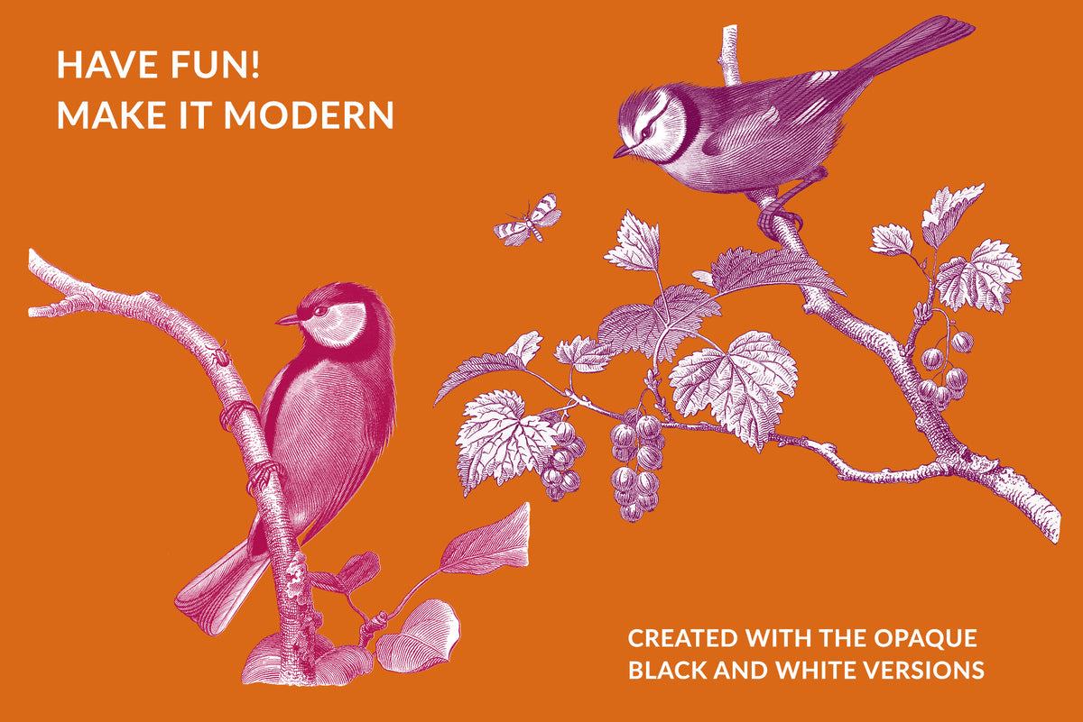 Modern recolored bird illustration design demonstrating creative uses of vintage French artwork.