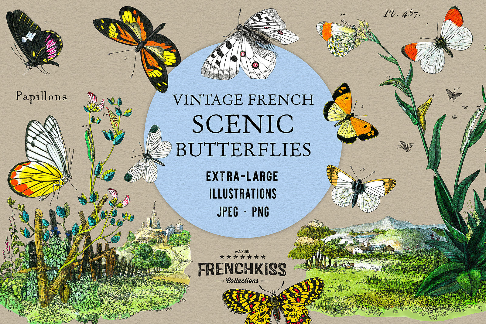 vintage French butterfly and landscape illustrations, high-resolution botanical artwork for design and collage