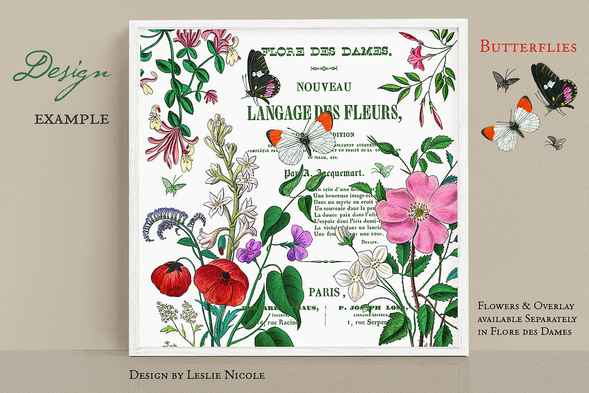 Botanical style wall art design example using vintage butterfly illustrations png files.