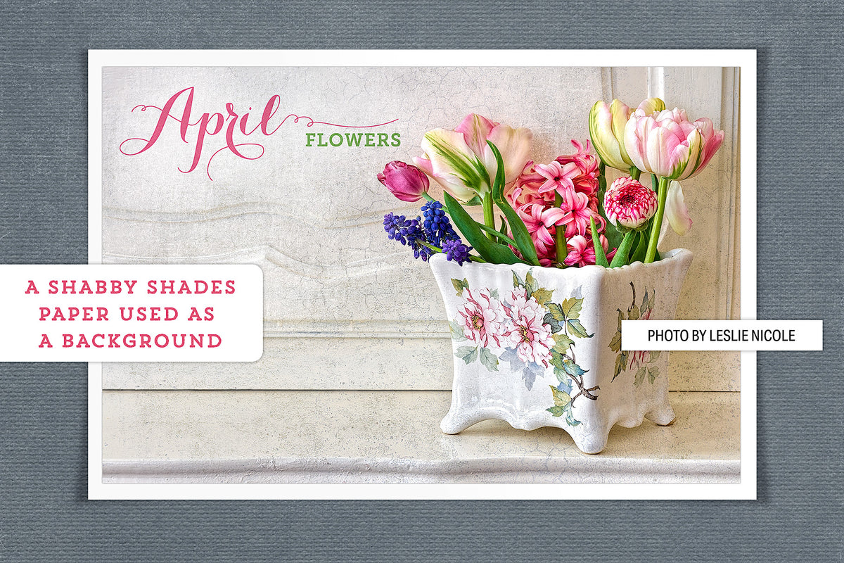 Spring floral photograph by Leslie Nicole featured against a digital paper from the Shabby Shades collection.