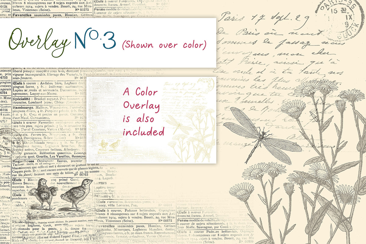 A vintage French overlay in the Summer Color Wash texture and overlay collection.