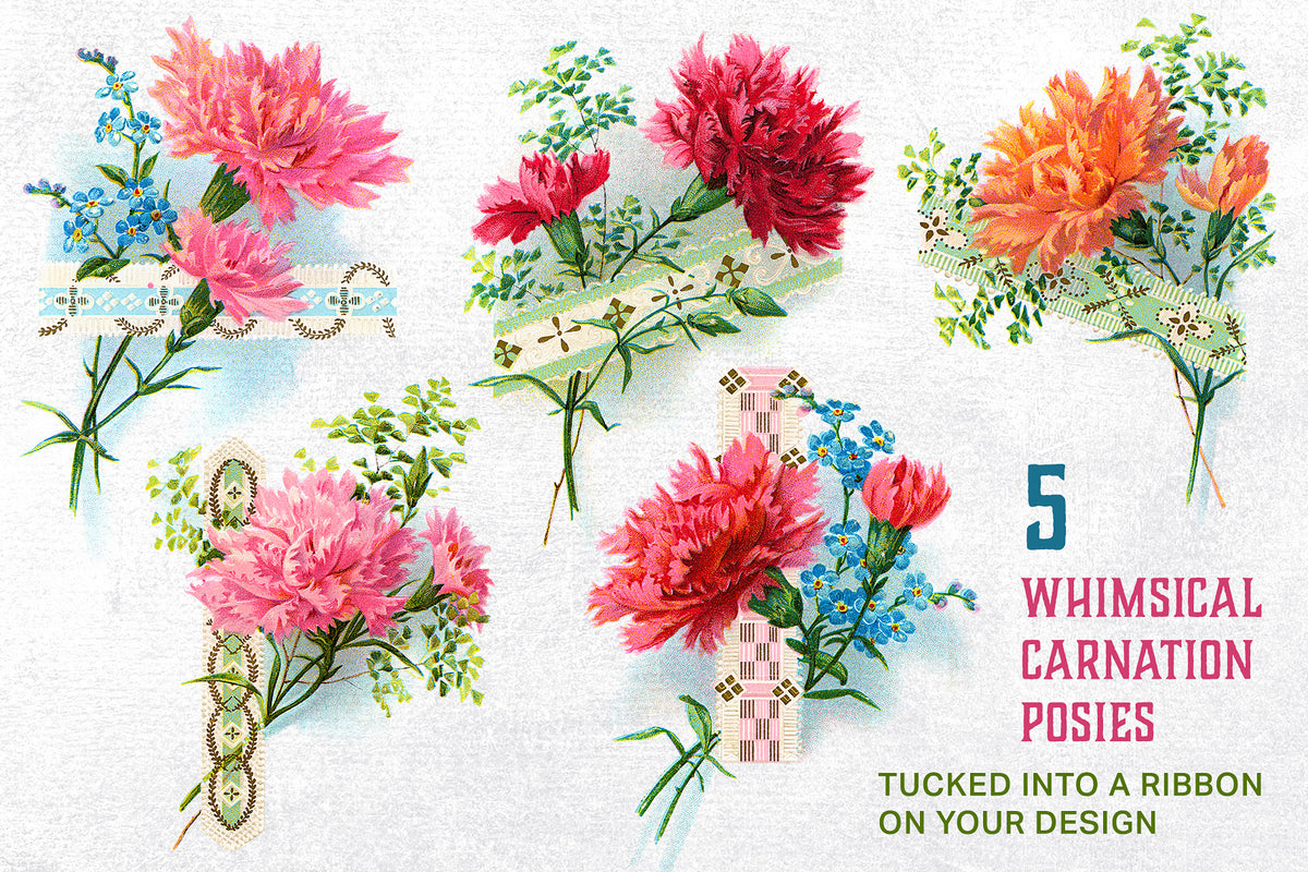 5 vintage illustrations of carnation posies tucked into a ribbon. Digital download.