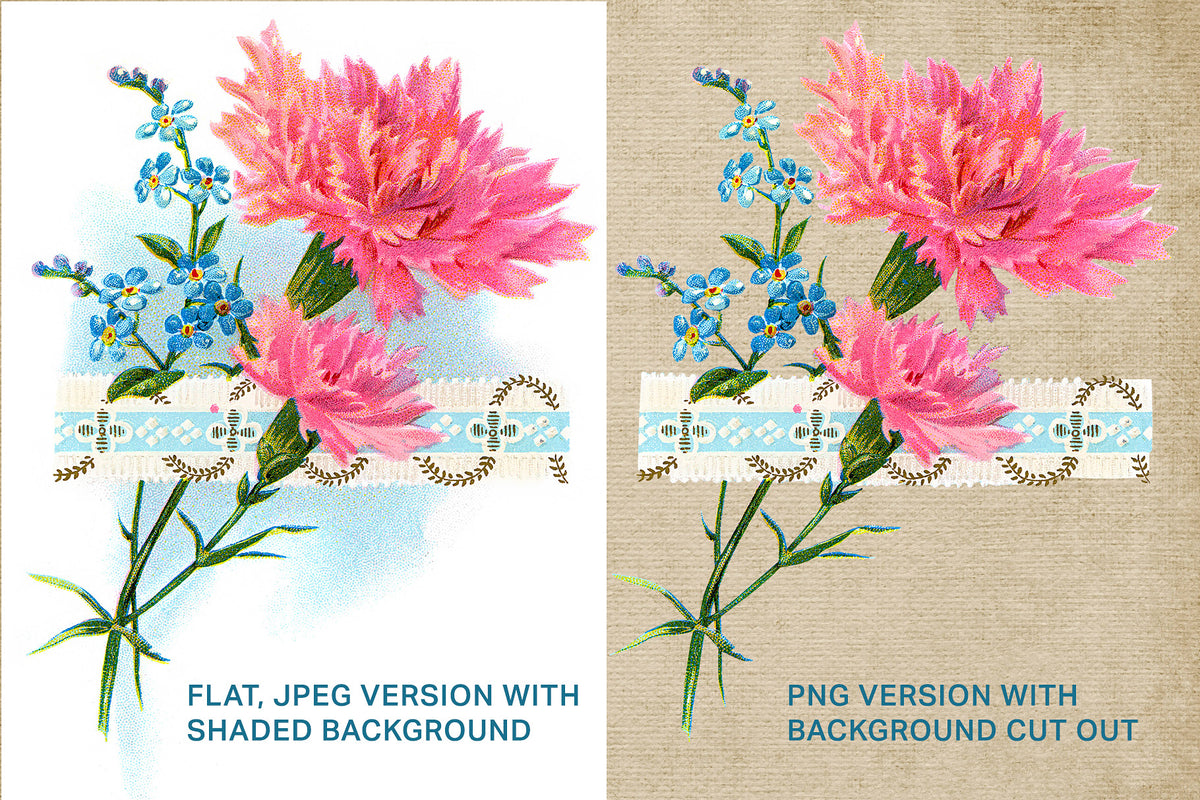 Vintage carnation posy illustration digital graphics. JPEG and PNG.