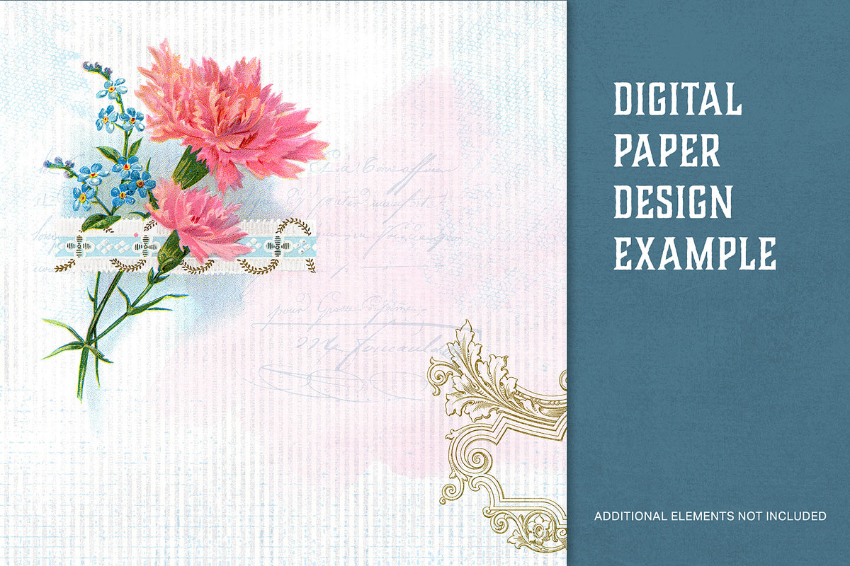 Digital paper design using a vintage carnation illustration tucked behind a ribbon.