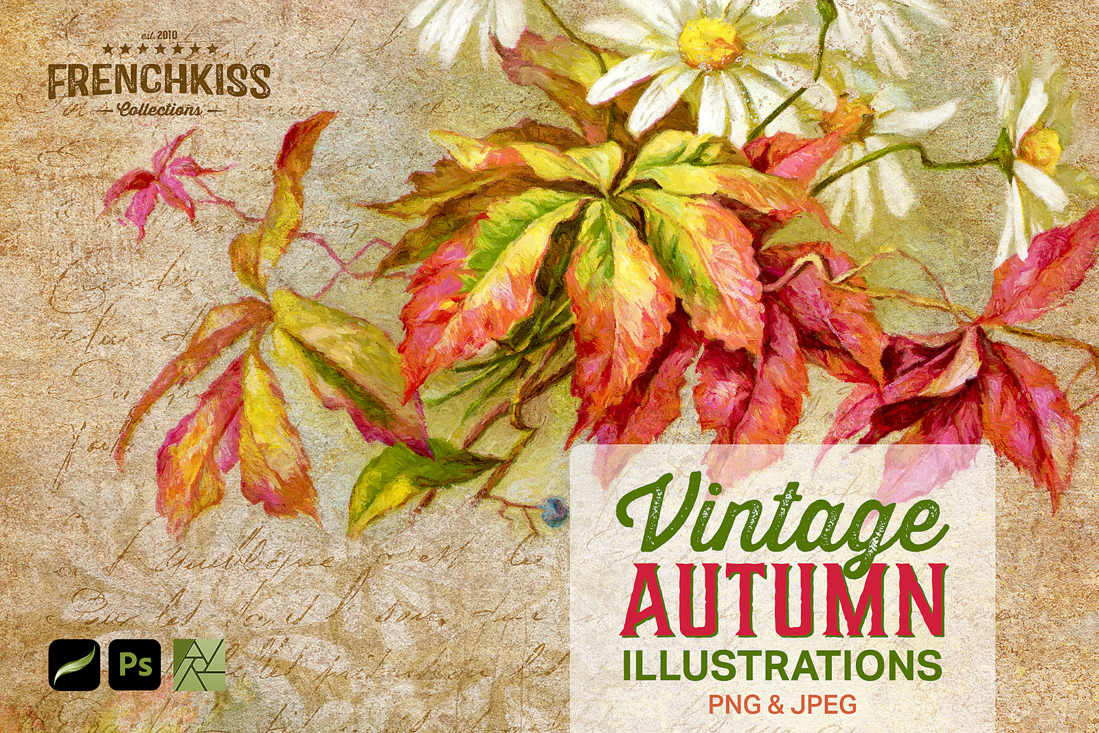 Vintage Autumn Illustrations digital graphics. Commercial Use.