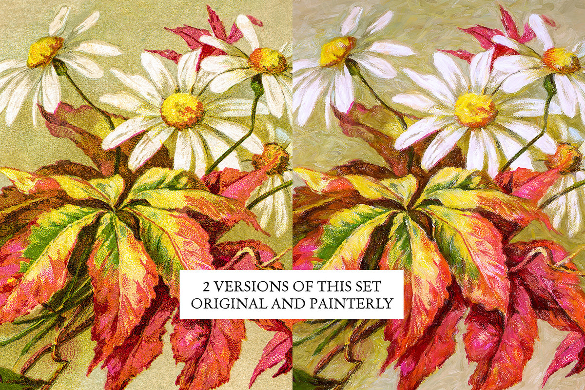 Original and Painterly versions of the Catharina Klien daisies and creeper vintage illustration.