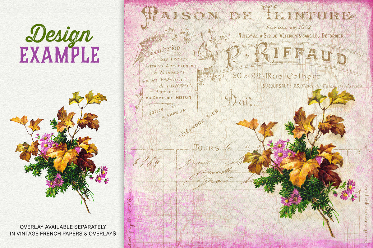 Vintage illustration Fall bouquet with leaves, daisies, and pine digital graphic shown in a design.